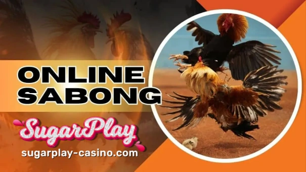 SugarPlay Login is your passport to the exciting world of Online Sabong betting.